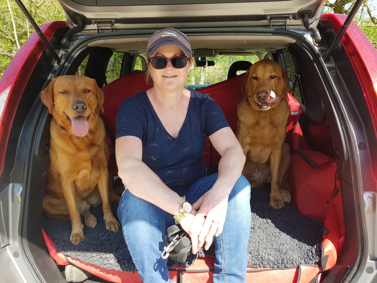 Dogs 4